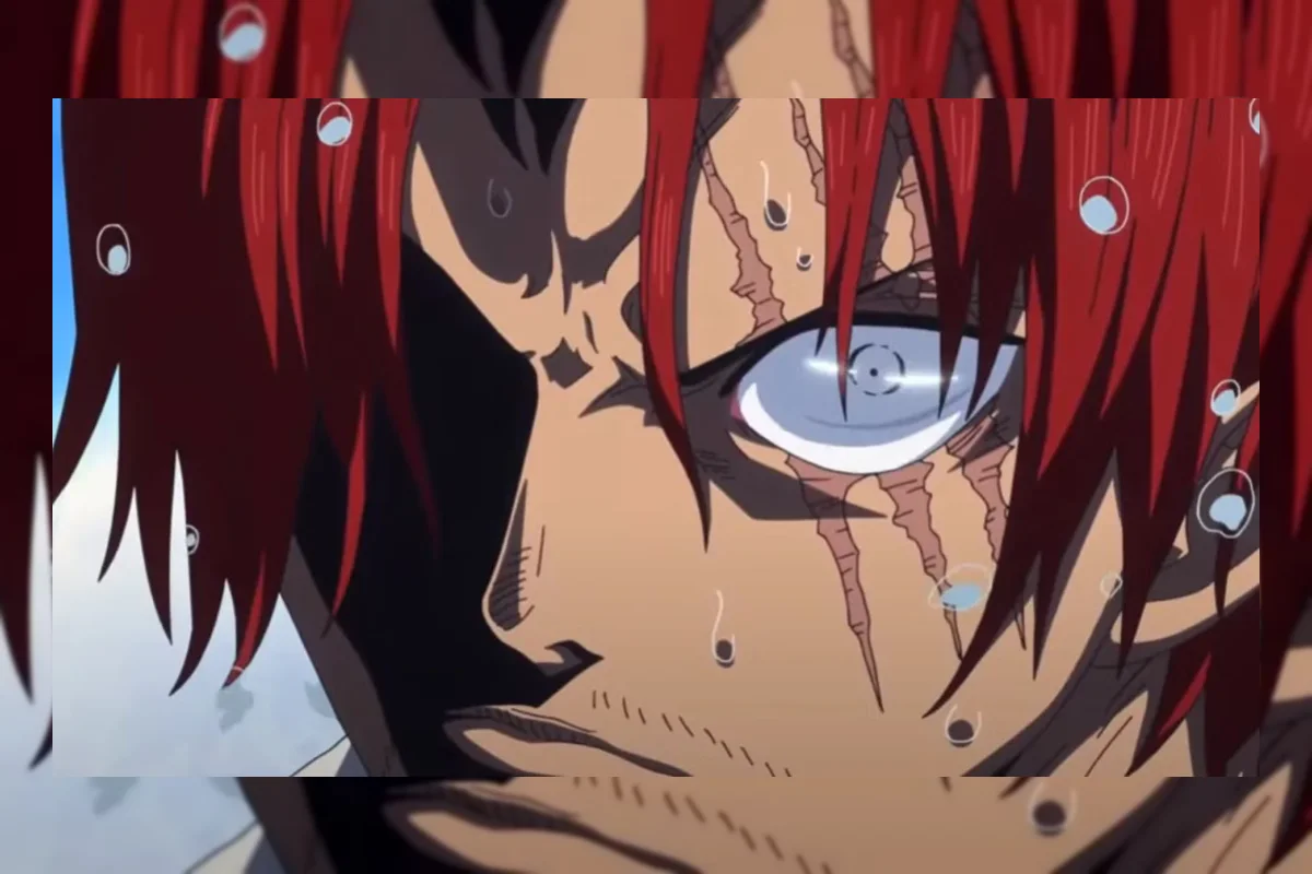 Ilustrasi karakter One Piece