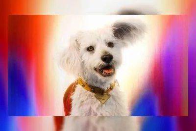 DC Studios Resmi Umumkan Serial Animasi Krypto, Anjing Pahlawan Superman