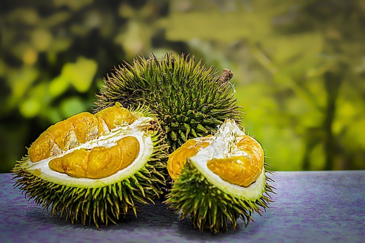 Mau Incip Duren? Berikut Destinasi Wisata Paling Ngalam Sendiri di Jombang, Nomor Satu Penghasil Raja Buah