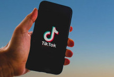 Deretan Pemenang TikTok Awards Indonesia 2023, Sebanyak 17 Kategori Siap Memberi Gelar - Ada Fuji, Pandawagrub dan Prilly Latuconsina