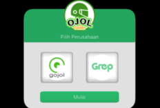 CEK Kode Redeem GIFT CODE Ojol The Game 2024 Terbaru, Dapat Item Koin hingga Energi