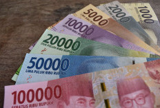 Gimana Caranya? Simak Tips Cek SLIK Biar Gak Masuk Daftar Hitam Pas Pake Pinjol, Jangan-Jangan Ini yang Buat Kamu Susah Dapat Kerjaan?