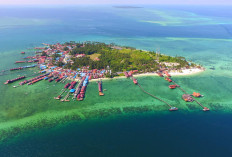 Ngak Kalah dengan Sulawesi, Ini Fakta Menarik di Berau, Kalimantan Timur, Ada Wisata Bawah Laut yang Sudah Hits