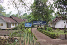 Bikin Melonggo! Ini Fakta Menarik Kampung yang Cuma Punya 7 Rumah di Garut, Aturan dan Larangan Ketat dari Nenek Moyang