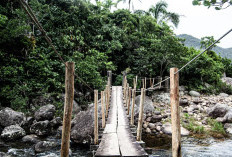 Yakin Mau Lewat? Jembatan Ekstrem di Sumatera Utara yang Menggantung 100 Meter di Atas Sungai