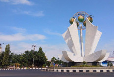Fakta Menarik dan Mengejutkan Kota Mangga, Indramayu, No 3 Jadi Pingin Mampir