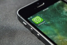Solusi Mudah! Tutorial Langkah-demi-Langkah untuk Mengubah Tampilan Status WhatsApp ke Mode Default dengan Cara Keluar dari Saluran