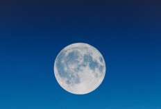 Cek Gambar Fase Bulan Idola Kamu, Begini Cara Buat Moon Phase Jungkook BTS Jadikan Walpaper Layar HP