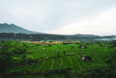 Langka! Fakta Unik Kota Ambon Ini Cuma Orang Ambon yang Tahu, Sejarah dan Asal Usulnya Menarik! Simak Disini