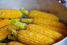 Resep Rahasia Kelezatan Bakwan Jagung yang Renyah, Gurih dan Nagih! Sensasi Pedasnya Cabai Rawit Bikin Minta Lagi!
