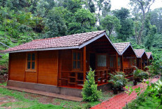 Taklukkan Keindahan Sumatera Utara, Inilah Desa Hariarapohan di Kawasan Danau Toba, Sediakan Homestay untuk Bermalam