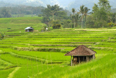 Topik Terkini! Kabupaten Kuningan Memperkenalkan Lima Kecamatan dengan Kepadatan Penduduk Tinggi, Siapa yang Unggul di Atas Ciawigebang?