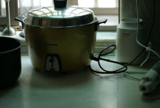 Pemerintah Bakal Segera Sebar 500 Ribu Rice Cooker Gratis di Seluruh Indonesia, Ternyata Ini Produsennya