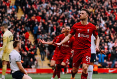 Link Live Streaming Tottenham vs Liverpoool: Jadwal EPL, Live di Mana & Jam Tayang