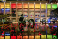 Ini Profil The Julliard School, Universitas Terbaik Harapan Putri Ariani di US Biaya Pendidikannya Bisa Tembus Rp 1 Milliar