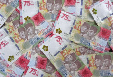 Cuzz, Cek Yuk! Tabel Angsuran KUR BRI 2023, Pinjaman Maksimal Rp80 Juta!
