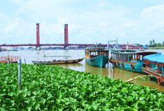 Potensi Ibukota Baru Hasil Pemekaran Sumatera Selatan Mulai dari Kekayaan Alam hingga Sumber Daya Manusia, Kota Lubuklinggau Bakal Terpilih?