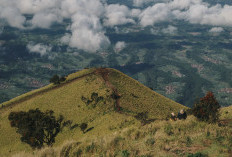 5 Jalur Pendakian Ditutup Akibat Kebakaran Merbabu, Kapan Bisa Dilakukan Pendakian Lagi? Cek Kondisi Terkini