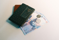 Cara Cepat Cek Penerima BSU Secara Online, Ternyata Bisa Lewat Aplikasi Ini Cukup Masukin NIK