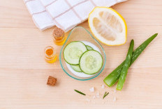 Rahasia Wajah Cerah, Coba dan Buktikan Sendiri 5 Pilihan Produk Skincare untuk Kulit Kusam, Dijamin Langsung Segar & Kenyal!
