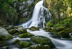 Petualangan Alam di Magetan! 4 Pilihan Air Terjun Layak Dikunjungi, dari Keelokan Bidadari hingga Kemegahan Pundak Kiwo, Harga Tiket Berapa?
