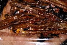 Nyesel Ngak Nyoba! Ini Daftar Makanan Khas Papua Barat, Ngak Hanya Enak Ternyata Juga Berkhasiat Ampuh