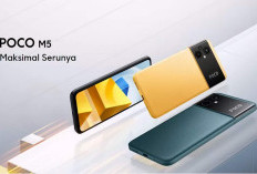 Daftar Rekomendasi HP Harga 2 Jutaan 2023: Ada POCO M5, Redmi Note 12, OPPO A55, Samsung Galaxy A04s 