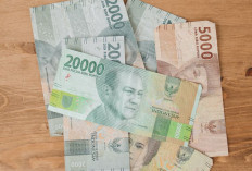Gak Nyangka! Dapet Saldo DANA Gratis Rp500.000 Hanya dengan Isi Survey, Simak Caranya!