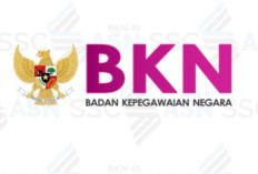 Tok! Ini Batasan Usia Pensiun BKN 2023, UU PNS Rombak Batasan Hingga Usia Ini, Cek Segera