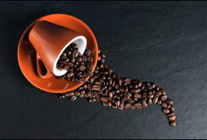 Rahasia Keberhasilan Coffee Shop, Temukan Perbedaan Antara Arabika dan Robusta sebagai Bahan Utama, Mau Tau Bedanya?