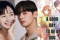 Sinopsis Nonton Drakor A Good Day to Be a Dog Full Episode 1-14 Sub Indo, Streaming Legal VIU