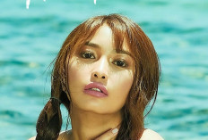 Nonton Film Romantis Haliparot (2023) Tayang di Vivamax: Asmara Melojak! Berikut Sinopsis, Link Gratis Beserta Daftar Pemain