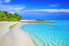 Eksplorasi Lima Pantai Cantik di Indramayu yang Sayang Dilewatkan, Berikut Daftar Harga Tiket dan Jam Operasional Destinasi Wisata