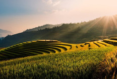 Tahun 2024 Melihat Transformasi Mencengangkan: Sawah 100 Hektar di NTB Berubah Jadi Bandara Modern, Tetapi Bukan di Mataram