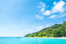 UNIK! Pulau di Sulawesi Barat Ini, Hanya Dihuni oleh Hewan, Jauh dari Sibuknya Peradaban Manusia
