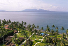 NGAK BANYAK YANG TAHU! Ternyata Ini Fakta Mengejutkan di Banyuwangi, Kota Berjuluk The Sunrise of Java