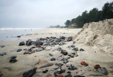 Meski Tak Berbahaya, Gumpalan Hitam di Pantai Krakal Gunungkidul Disebut DLH Tetap Waspada, Mengapa?