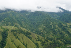 Kabar Terbaru Kebakaran Gunung Lawu: Api Menyebar hingga Magetan, Penyebabnya Sudah Terungkap?